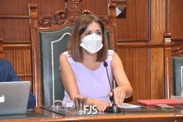 Pleno ordinario de julio de 2022/Francisco Javier Santana.